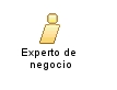 Experto_de_negocio